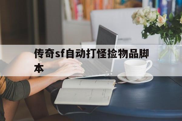 传奇sf自动打怪捡物品脚本诞生、优势与劣势全解析!